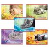 HATBER / Album à dessiner "Chatons", 205x290 mm, 20 feuilles A4, couverture cartonnée