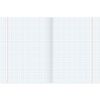BRAUBERG / Exercise books, 12-PIECE SET, "SILVER", 48 sheets, with silver cover