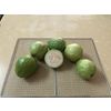 DRIED GUAVA FROM THE PRODUCER FACTORY