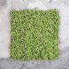 Greengo / Decorative panel, 50 × 50 cm
