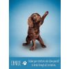 GamesDealer / Bài Tarot: "Bộ bài & Bộ sách Yoga Dogs"