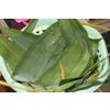 Fresh big size bamboo leaf