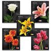 BRAUBERG / Notebook A5, 48 sh., Cage, sparkles, FLOWERS / 10 pcs.