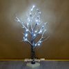 Kaemingk / Parlayan ağaç Karlı 60 cm, 36 soğuk beyaz LED lamba, IP44