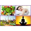 Lifestyle Market Service