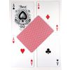 GamesDealer / Kartlar "Arı Altın Yerçekimi Standart Endeksi Kırmızı / Mavi"