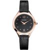 Balmain / Orologio svizzero Maestria B45193264