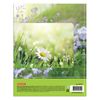 BRAUBERG / Diary 5-11 grade 48 l., Hard, glossy lamination, with a hint, "Cute rabbit" / 10 pcs.