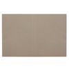 Ordner ohne Ordner "Delo", Karton, Dichte 220 g / m2, bis 200 Blatt, STAFF