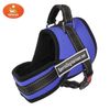 Пижон / Dude / Harness with lining, size XS (ОШ 45, ОГ 48-56 cm, sling 2.5 cm, blue