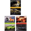 HATBER / Notebook A4 80 sh. bracket, cage, glossy lamination, "Luxury style" / 6 pcs.
