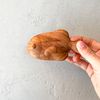 Zartoy / Rattle "Fish"