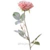 Kaemingk / Artificial Rose Snow 72 cm pink peach
