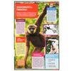 Умка / Umka / Encyclopedia "Great Monkeys"