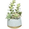 Kaemingk / Artificial potted plant Echeveria Lilicina 22 cm