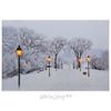 Kaemingk / LED picture Winter Alley 60 * 40 cm with fiber-optic and LED backlighting, battery-powered