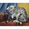 Опт-картина / Pittura con numeri 40x50 Gattino e fili