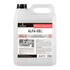 Sanitary cleaning tool 5 litres, PRO-BRITE ALFA-GEL, acid, concentrate, gel