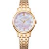 Relógio Citizen / Japanese Eco-Drive EM0893-87Y