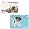 ПИФАГОР / Drawing pad "Kids", 20 sheets of A4, 200x285 mm, staple, offset cover, horizontal