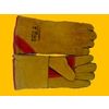Mittens of gaiter tselnospilkovye (Russian lion) winter