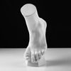 Мастерская Экорше / Plaster figure "Vertical foot"