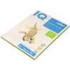 Color paper A4 100 l "IQ color. Intensive"