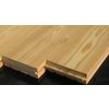 Siberian larch