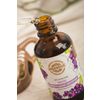 Grape seed oil SIBERINA