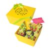 Sweet gift "decor"