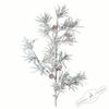 Holiday Classics / Fir branch, 86 cm