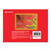 BRAUBERG / Sketchbook ECO "Wild Forest", 40 fogli A4, 205x290 mm, pettine, copertina in cartone