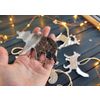 Ленивые Бобры / Lazy Beavers / Set of mirrored Christmas tree decorations "Siberia inside" in a gift box