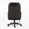 BRABIX PREMIUM "Favorite EX-577" office chair, spring block, recycler. leather, brown
