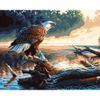 Опт-картина / Pittura con i numeri 40x50 Aquila orgogliosa