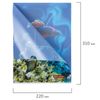 Folder area BRAUBERG "SEA WORLD", A4, 150 micron, color printing