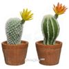 Kaemingk / Artificial potted cactus Cereus Flame Flower 19 cm