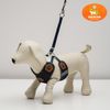 Пижон / Dude / Set "Reflex" size L, leash 95 cm, multi-size harness 25-64 cm, jeans