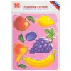 Stenfaret-coloring "Fruits"