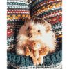 Опт-картина / Картина по номерам КАКАДУ 40х50 Ежик