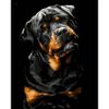 Опт-картина / Pittura con numeri 40x50 Rottweiler