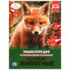 Умка / Enciclopedia "Animali della foresta"