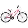 FOXX / Bicycle "Salsa"