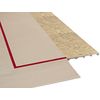 AID FOR ART GYMNASTICS WITH SHOCKERS FROM POLYETHYLENE 14 * 14 H-50 MM
