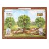 Семейные традиции / Gift set "Family happiness"
