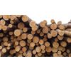 Sawlog