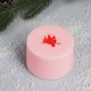Сималенд / Silicone mold for soap Mandarin Moroccan