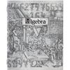 BRAUBERG / Exercise books, 12-PIECE SET, "SILVER", 48 sheets, with silver cover