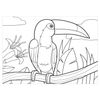 Coloring by numbers A4, ONLANDIA "BIRDS" WITH WAX CRAYONS, 4 pics