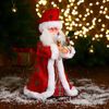 Зимнее волшебство / Doll "Santa Claus with a road trip and gifts"